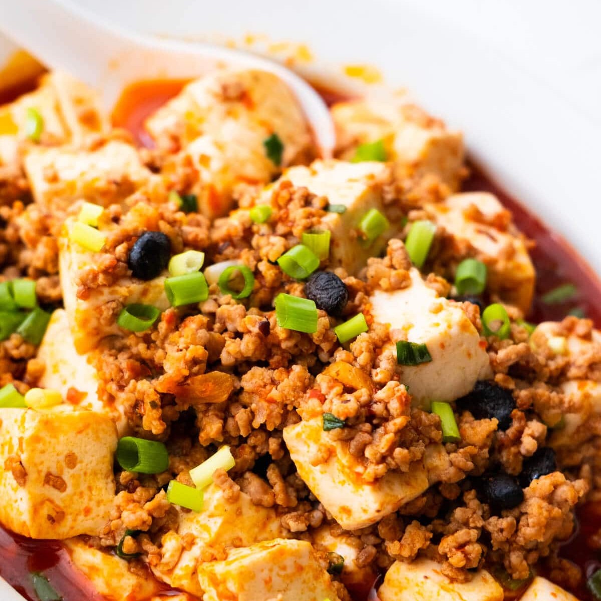 Stir Fried Pork Tofu